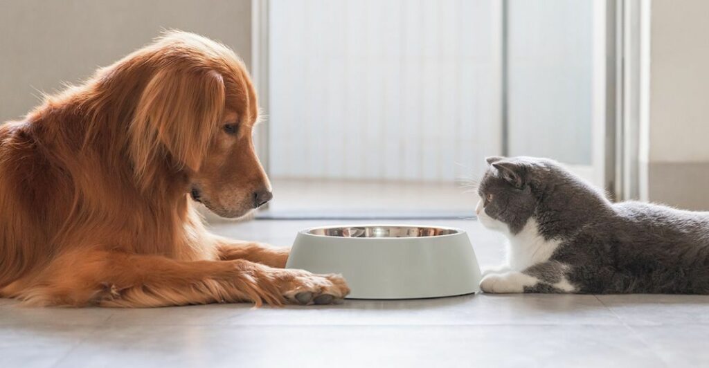 Changements brutaux dans le régime alimentaire